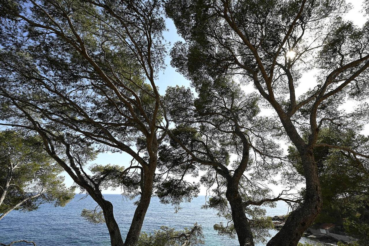 Charmant Studio 2A4 Pers Avec Jardin Et Place De Parking Situe A 5 Min A Pied De La Mer Bandol Exterior foto