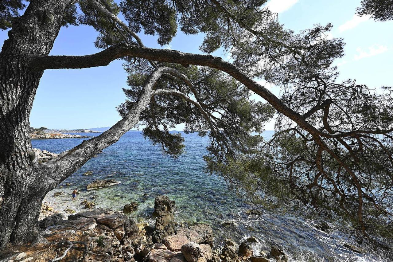 Charmant Studio 2A4 Pers Avec Jardin Et Place De Parking Situe A 5 Min A Pied De La Mer Bandol Exterior foto