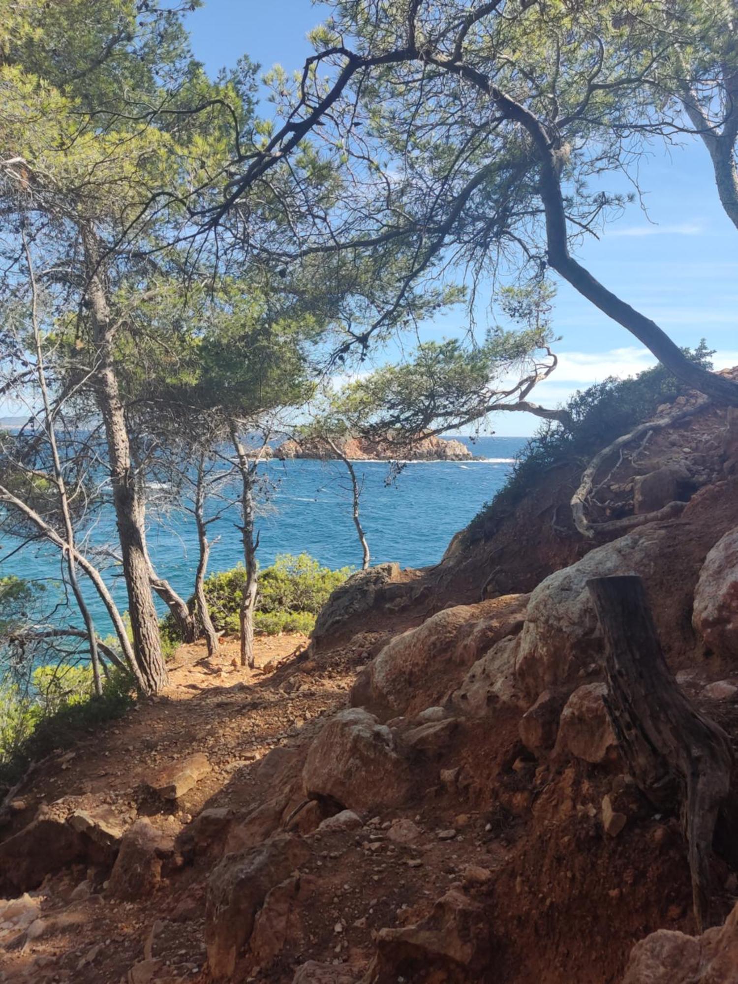 Charmant Studio 2A4 Pers Avec Jardin Et Place De Parking Situe A 5 Min A Pied De La Mer Bandol Exterior foto
